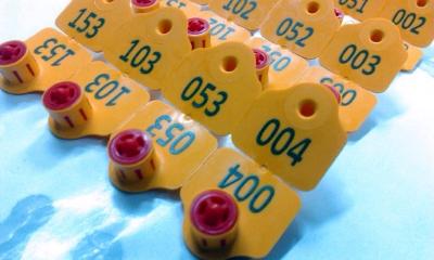 Промислове гравірування продукції